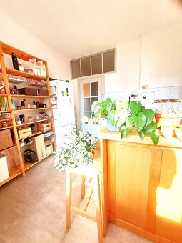 Prodej bytu 1+1 45 m² Hvězdova, Praha - Nusle - 17