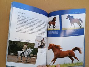 Knihy o koních, focení koní, koně - 17