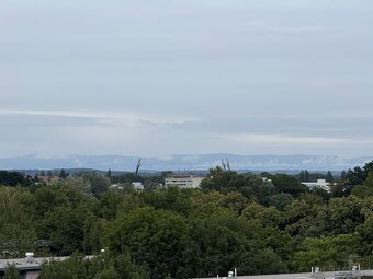 Prodej byru Veverkova - 17