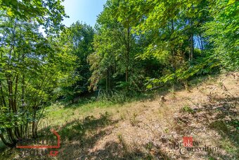Prodej, pozemky/bydlení, 1161 m2, Hraničná, 46811 Janov nad  - 17