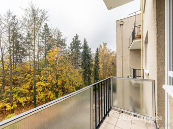 Pronájem bytu 3+1, Rosečská, Krč, 32900 Kč/měs, 84 m2 - 17