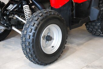 Polaris Phoenix 200 - 17