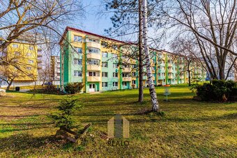 Pronájem byty 1+1, 32 m2 - Jihlava, ev.č. 00778 - 17