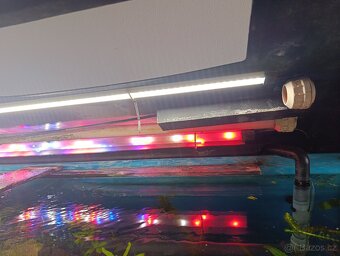 akvarium komplet - 17