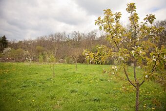 Prodej zahrady 3146 m2 Louny Lužerady - 17