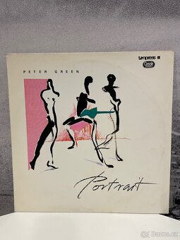 Gramofonové desky č.5 cena za 1 kus - 17