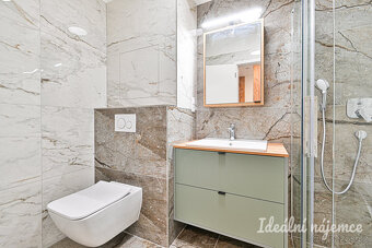 Pronájem bytu 1+kk, Škrochova, Židenice, 15 900 Kč/měs, 33 m - 17