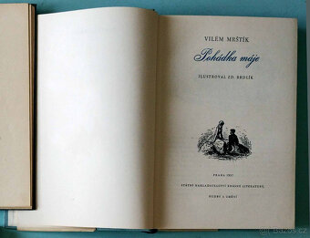 knihy - starší česká beletrie - 17