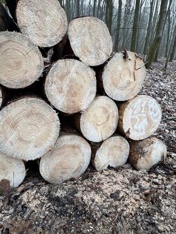 Prodej palivového dřeva - 17