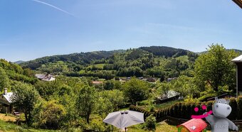 Prodej pozemku - zahrady, 308 m2 - Vsetín, ev.č. 58235 - 17