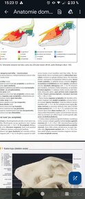 VŠ Skripta v PDF formátu - ČZU, Veterina, Ekonomie - 17