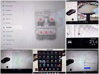 Tesla Model 3 2021 Performance 377 kW - 17