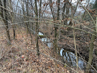 Prodej pozemků o celkové výměře 35547 m², Krhová - 17
