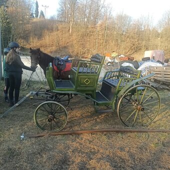 Bryčka, kočár pony - 17