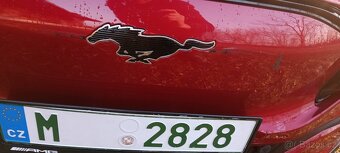 Mustang e-mach Oryginal  Europe 99kw - 17