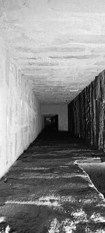 🧱 Zedník – denně v provozu - 17