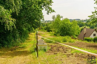 Prodej rodinný dům 3+1, 127 m2 - Petrovice u Karviné - 17