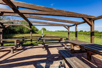 Prodej věhlasné nemovitosti Malovaného sklepa v Šatově, mezi - 17