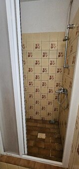 Prodej rodinného domu 169 m², pozemek 2003 m² Alojzov - 17