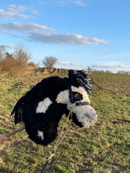 Hobby horse - 17