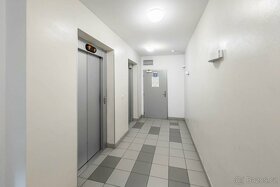 Prodej bytu 2+kk, 57 m2, V Dolině, Praha 10 - Michle - 17