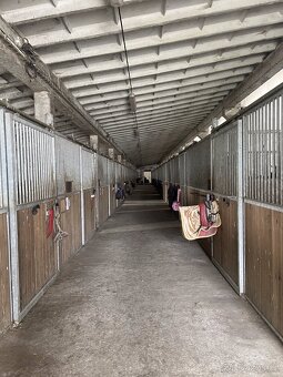 HŘÍBÁRNA NA EDENU - 17