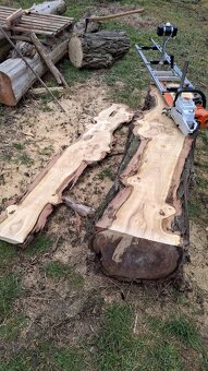 Pořez kulatiny přenosným katrem v místě kácení - 17