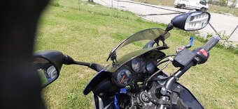 FZS 1000 - 17