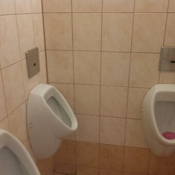 Prodám zavedenou malebnou hospůdku fungující více jak 30let - 17