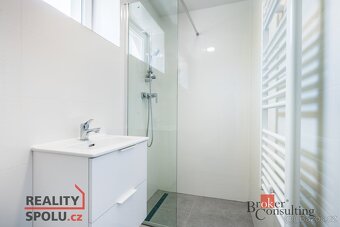 Pronájem, byty/1+1, 45 m2, Křižíkova 1352, 73801 Frýdek-Míst - 17