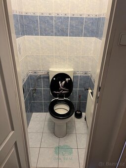 Prodej vícegeneračního domu v Břežanech u Lešan, ev.č. 00272 - 17