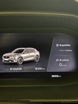 Cupra Formentor 1.5 TSI DSG - 17