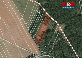 Prodej lesa, 39171 m², Ježovy - 17