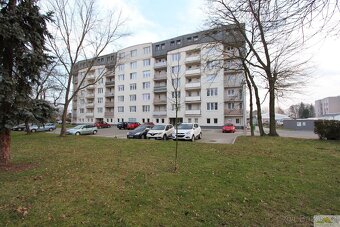 Pronájem moderního bytu Pardubice - 17