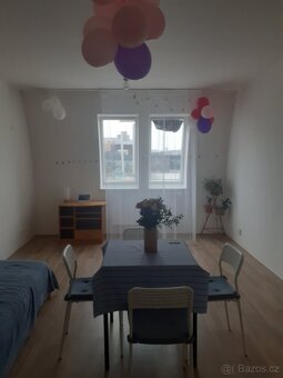 Prostorný a krásný byt ve Vysočanech - 17