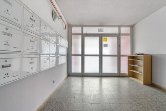 Prodej bytu 3+1, 58 m², Brno – Štýřice, ul. Pšeník (bez RK) - 17