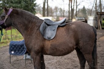 Všestranné sedlo Wembley - 17