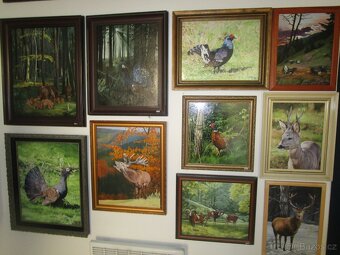 obrazy pro myslivce-bažant-tetřev-jelen-olejomalba - 17