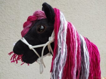Hobby horse  pro malé děti - 17
