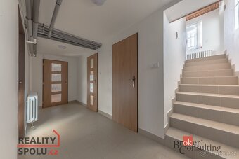 Pronájem, domy/vila, 255 m2, Romana Blahníka 804, Zbraslav,  - 17