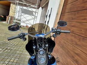 Harley-Davidson FXDL Dyna Low Rider 103 - 17
