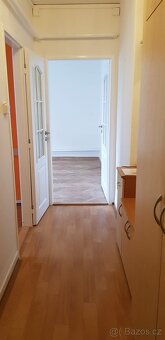Pěkný, klidný byt ve Slavkově u Brna - 17
