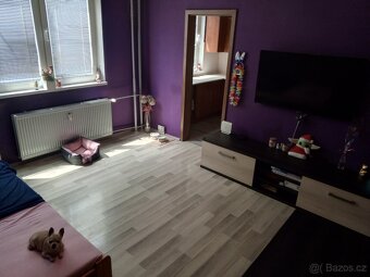 Prodej bytu 2+1 45.m2 Olomouc Nové Sady - 17