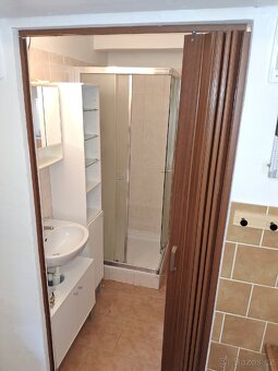 PRONAJMU KRÁSNÝ A SLUNNÝ ZAŘÍZENÝ BYT S VENKOVNÍM POSEZENÍM - 17