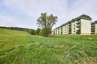 Prodej bytu 3+1 s balkónem po rekonstrukci v Radvanicích - 17