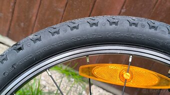 Cosmic 20 2023-24 AUTHOR - 17