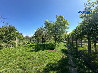 Prodej rodinného domu 3+1 Tasov / okres Hodonín/ - 17