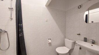 Dům s penziónem a obchodem na náměstí v Horní Plané - 17