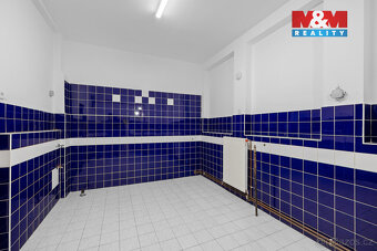 Pronájem multifunkčního objektu 350 m² s pozemkem 1658 m² - 17