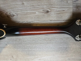 Celomasivní mandolína FURCH Ma 2 A - 17